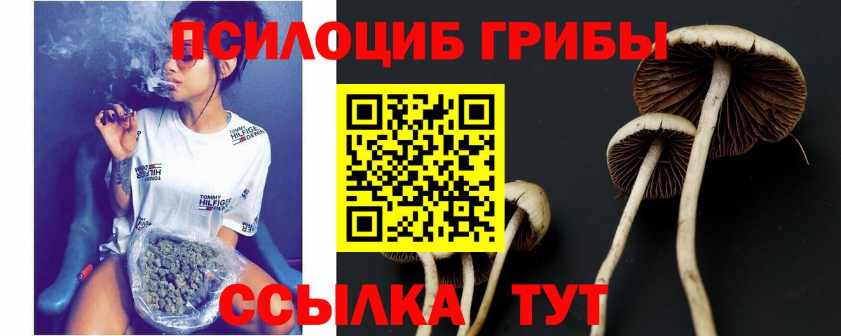 Галлюциногенные грибы MAGIC MUSHROOMS Советск